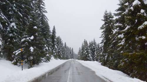 Απίστευτο: Στα λευκά ξύπνησαν Ελάτη και Περτούλι
