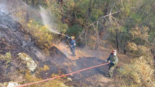 Φωτιά στον υδροβιότοπο της Εύβοιας: Βρέθηκε γκαζάκι στα αποκαΐδια - &quot;Στάχτη&quot; 40 στρέμματα
