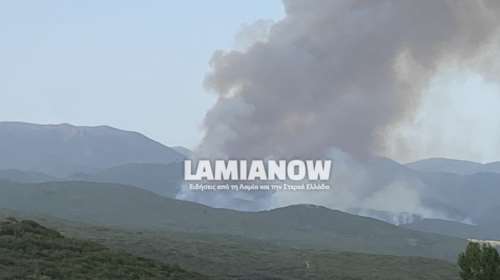 Φωτιά στη Φθιώτιδα: Υπό έλεγχο η πυρκαγιά - Καίρια επέμβαση των εναέριων μέσων