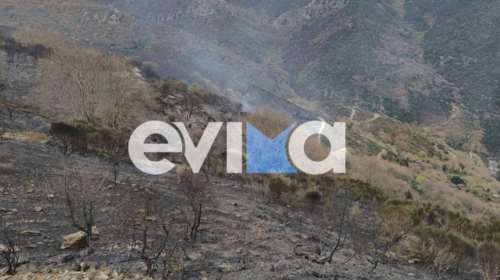 Υπό μερικό έλεγχο τέθηκε η πυρκαγιά στην Κάρυστο