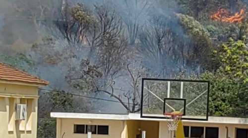 Φωτιά στο Βελεστίνο: Εκκενώθηκαν οικισμοί και βιομηχανική περιοχή - Κάηκαν σπίτια [βίντεο]