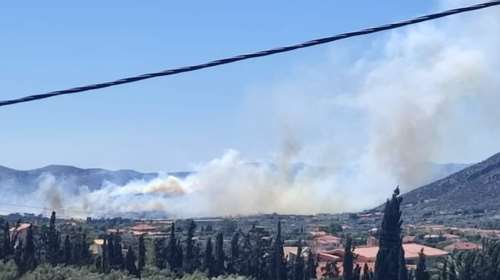 Φωτιά στη Φέριζα Αττικής: Βελτίωση στο μέτωπο - Απειλήθηκαν σπίτια, εκκενώθηκαν δύο οικισμοί [εικόνες]