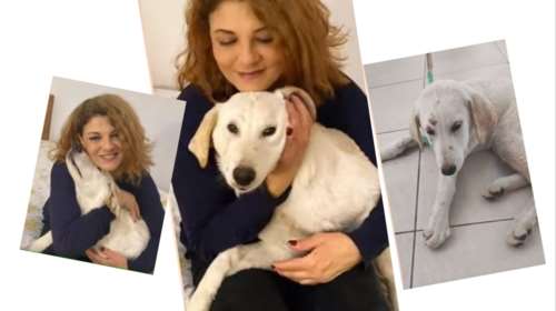 H Τάνια Τρύπη με την Αγάπη της που έχει βιαστεί: &quot; Δεν είναι πάντα τυχερά τα πλάσματα που κακοποιούνται&quot; - Συγκινητικό βίντεο