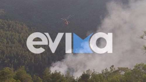 Μεγάλη φωτιά στην Εύβοια: Καίγεται δάσος κοντά στο Μαντούδι [εικόνες]