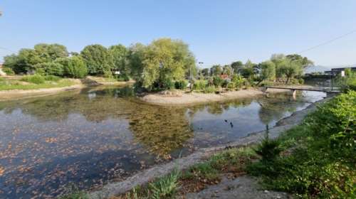 Καύσωνας - Τρίκαλα: Στέρεψε η λίμνη Γκιτζή - Δεκάδες νεκρά ψάρια στη στεριά [εικόνες - βίντεο]