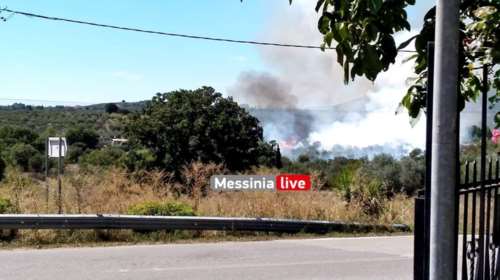 Συναγερμός στην Πυροσβεστική: Φωτιά στη Μεσσηνία - Στη μάχη 26 πυροσβέστες και δύο αεροσκάφη