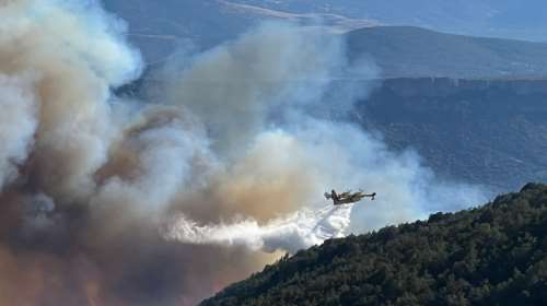Copernicus: 12.153 στρέμματα κάηκαν στην Ιτέα - 3.000 στρέμματα από τον Ελαιώνα της Άμφισσας