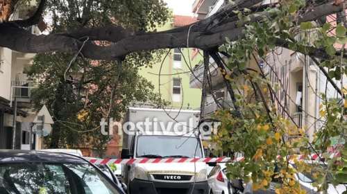 Κακοκαιρία στη Βόρεια Ελλάδα: Έπεσαν δέντρα στη Θεσσαλονίκη - Προβλήματα σε Πιερία και Ημαθία [εικόνες]