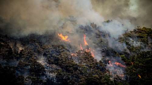 Φωτιά στη Ρόδο: Καυτός αέρας σηκώνει κάφτρες που δημιουργούν νέες εστίες - Έκκληση για βοήθεια στον Προφήτη Ηλία