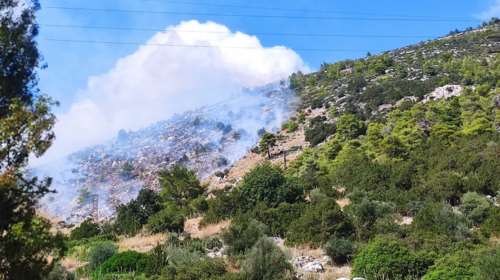 Φωτιά στη Νέα Μάκρη: Επιχειρούν εναέρια μέσα [βίντεο]