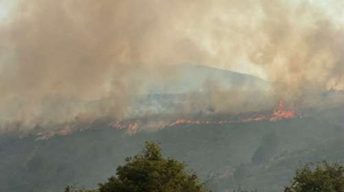 Φωτιά στη Ροδόπη: Ενισχύθηκαν οι πυροσβεστικές δυνάμεις - Ήχησε το 112 για εκκένωση οικισμού [βίντεο]