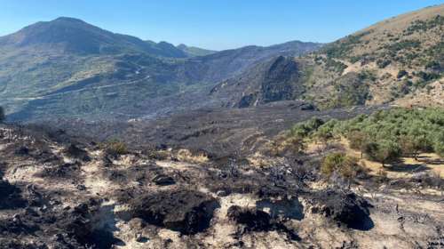 Κεφαλονιά: Υπό πλήρη έλεγχο η φωτιά - Στάχτη πάνω από 10.000 στρέμματα
