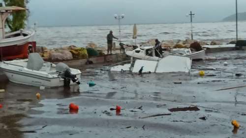 Κακοκαιρία Ιανός: Σαρώνει την Κεφαλονιά, διακοπές ρεύματος, νερού και πτώσεις δέντρων [εικόνες]