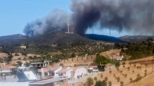 Μεγάλη φωτιά στην Εύβοια, κοντά σε σπίτια: Οι φλόγες πέρασαν την Εθνική Οδό - Νέο μήνυμα 112 για εκκένωση [εικόνες-βίντεο]