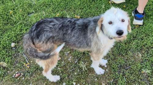 Η Αελίτα ζούσε σε μια από τις πιο δύσκολες περιοχές του Ασπροπύργου - Καλή χρονιά είπαμε;