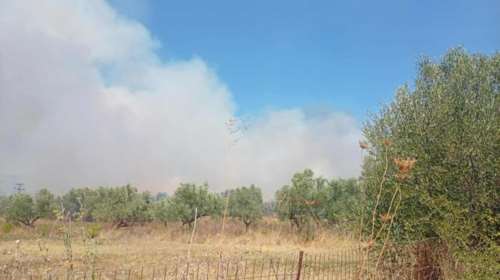 Φωτιά στον Μελιγαλά Μεσσηνίας: Κοντά σε σπίτια οι φλόγες - Εκκενώνονται Σπάρτακος και ΒΙ.ΠΕ.