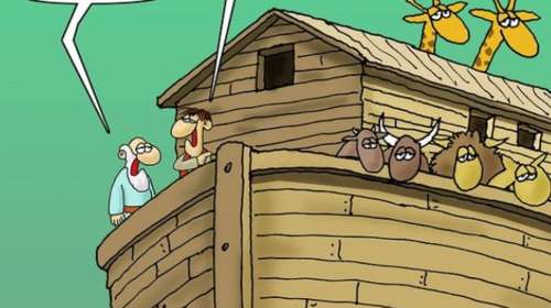 Οι &quot;γκέι πελαργοί&quot; του Αρκά τελικά είναι... φλαμίνγκο