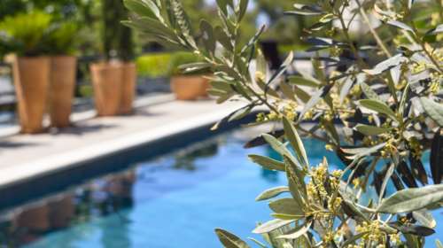 Εντοπίστηκαν χιλιάδες ιδιοκτήτες με αδήλωτα ενοίκια Airbnb - Δεν δηλώθηκαν 102 εκατ. ευρώ