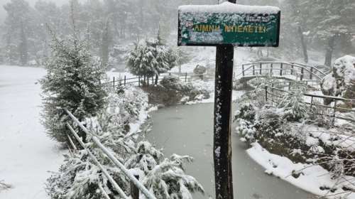 Kακοκαιρία AVGI: Το έστρωσε ήδη σε Πάρνηθα, Ιπποκράτειο Πολιτεία και Δερβενοχώρια - Tη νύχτα το μεγάλο κύμα χιονιού