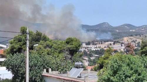 Χωρίς ενεργό μέτωπο η φωτιά στο Κρυονέρι - Μεγάλη κινητοποίηση, έκλεισαν δρόμοι [εικόνες - βίντεο]