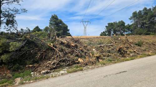 Ακαθάριστα οικόπεδα: Παρατείνεται έως τις 15 Ιουλίου η προθεσμία για την υποβολή των δηλώσεων