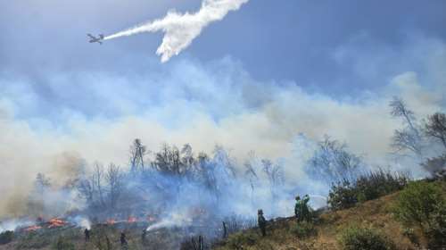 Κολυδάς για τη φωτιά στην Πάρνηθα: Μέχρι και 8 μποφόρ οι ριπές του ανέμου - Πότε θα εξασθενήσουν