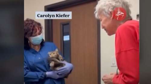 Η συγκινητική στιγμή που ηλικιωμένη βρίσκει τη γάτα της μετά από δύο μήνες - Νόμιζε ότι είχε χαθεί στις φωτιές του Λος Άντζελες