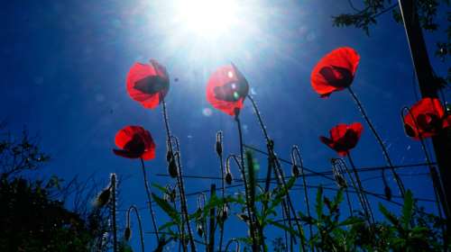 Καιρός: Με ισχυρούς ανέμους, διακυμάνσεις θερμοκρασίας και βροχές η Μεγάλη Εβδομάδα – Πώς θα ψήσουμε τον οβελία