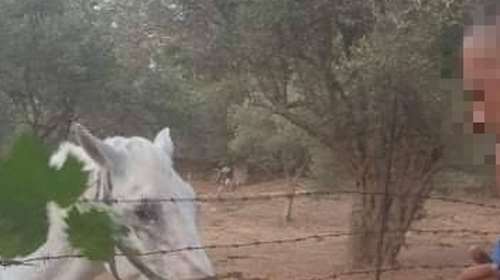 Βιασμός από αστυνομικό-Συγκλονίζουν οι γονείς της 14χρονης: &quot;Τη χτύπαγε, όταν πήγε προπόνηση της έδεσε τα χέρια στην πλάτη&quot;