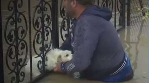 Η συγκινητική διάσωση μικρού σκύλου που είχε εγκλωβιστεί στο πλημμυρισμένο Σωτήριο Λάρισας [Εικόνες - Βιντεο]