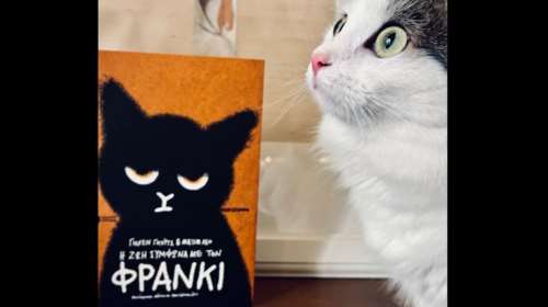 &quot;Η ζωή σύμφωνα με τον Φράνκι&quot; - Η συγκινητική ιστορία μιας αναπάντεχης φιλίας μεταξύ ενός γάτου σε αναζήτηση στέγης κι ενός ανθρώπου που βρίσκει τη θέλησή του για ζωή