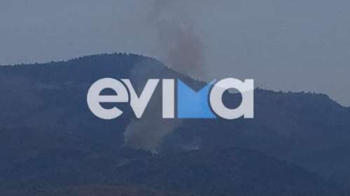 Νέα φωτιά στην Εύβοια: Καίγεται δάσος στον Μίστρο - Συναγερμός στην Πυροσβεστική
