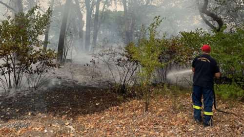 Τρίκαλα: Φωτιά στο δάσος Χρυσομηλιάς, στα όρια με το Περτούλι [βίντεο]