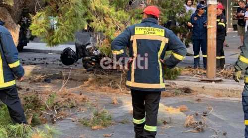 Τραγωδία στο Ηράκλειο: Δέντρο καταπλάκωσε και σκότωσε μοτοσικλετιστή που είχε σταματήσει στο φανάρι