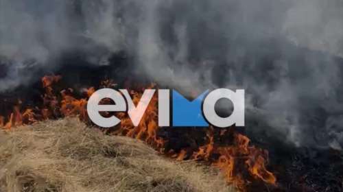 Φωτιά στην Εύβοια: Καίγεται δασική έκταση στον Δήμο Διρφύων - Μεσσαπίων