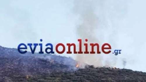 Φωτιά στο Αλιβέρι: Καλύτερη η εικόνα της πυρκαγιάς χάρη στα εναέρια μέσα - Συνέλαβαν 75χρονο που &quot;κάπνιζε&quot; μελίσσια