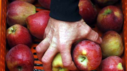 Κορονοϊός: Αυτές είναι οι πέντε τροφές που ενισχύουν την υγεία των πνευμόνων