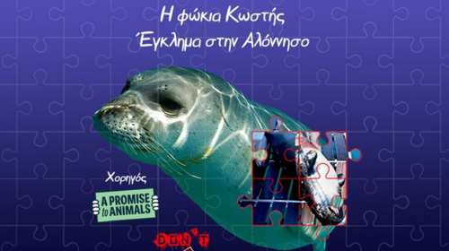 Χάρης Βεραμόν: Δεν θα πρέπει να μένει κανείς ατιμώρητος, όταν έχει δολοφονήσει κάποιο ζώο