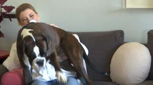 Η Σία Κοσιώνη συστήνει τον παιχνιδιάρη Μπακ με τις... οικολογικές ανησυχίες: &quot;Νομίζει ότι είναι κανίς&quot; [εικόνες - βίντεο]