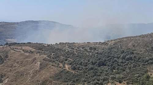 Μυτιλήνη: Υπό έλεγχο η φωτιά στην περιοχή Αυλώνα