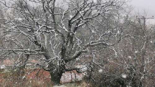 Χιόνια στα ορεινά της Θεσσαλονίκης: Το έστρωσε σε Ωραιόκαστρο, Χορτιάτη και Πανόραμα [εικόνες]