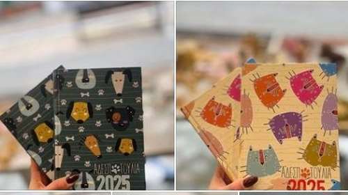 Αδεσποτούλια Ξάνθης: Δείτε τις υπέροχες ατζέντες τους για το 2025 - Βοηθάμε  τις πιο καθαρές ψυχές να ζήσουν