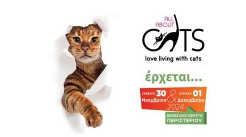 All About Cats: Το μεγαλύτερο φεστιβάλ γάτας Ράτσας και Ταράτσας, επιστρέφει στο Εκθεσιακό Κέντρο Περιστερίου