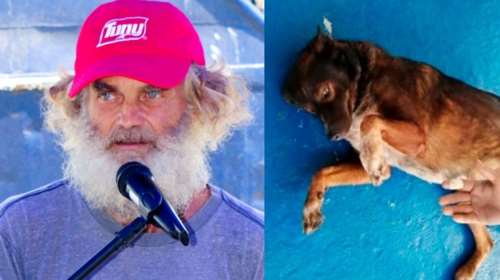 Επέζησε τρεις μήνες στον ωκεανό έχοντας παρέα μόνο μια πιστή σκυλίτσα- Η απόφαση να την δώσει προκαλεί αντιδράσεις