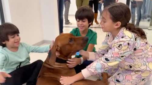 Τους υποδέχθηκε ο καλύτερός τους φίλος: Τρία αδελφάκια, όμηροι της Χαμάς επί 51 μέρες παίζουν ξανά με τον σκύλο τους