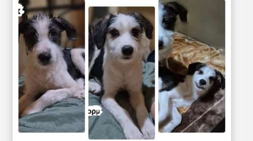 Το happy end για τον Μασκ και τη Στορμ εξαρτάται μόνο από εμάς: Τα δύο μωρά σώθηκαν από τον δρόμο