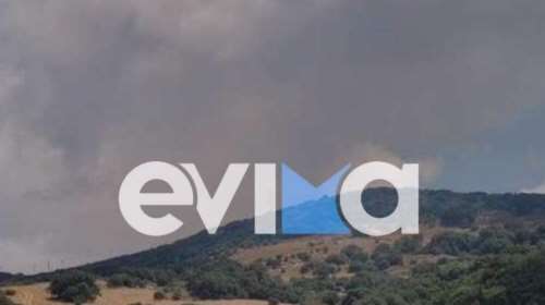 Μεγάλη φωτιά στην Εύβοια σε δύσβατη περιοχή: Πνέουν ισχυροί άνεμοι - Χωρίς ρεύμα η Ρούκλια Καρύστου