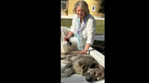 Η Ελενα Ακρίτα μας συστήνει τον Μπάμπη το Μεγάλο Αφεντικό της Greek Mafia: Εχει γράψει ιστορία στο οργανωμένο έγκλημα