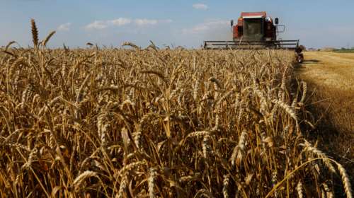 Μετά την έκρηξη στην Κριμαία, η Μόσχα παγώνει τη συμφωνία για τα σιτιρά - Ποιες είναι οι επιπτώσεις στις τιμές των τροφίμων