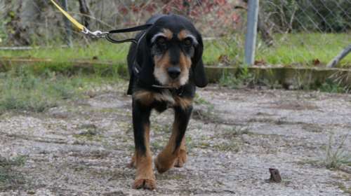 O Oλαφ, είναι ένας ωραίος άντρας με εντυπωσιακά φρύδια, σοβαρό ύφος και μετρημένος - Ετσι για να ξέρετε